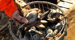 Clamz