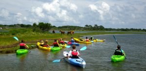 Kayak