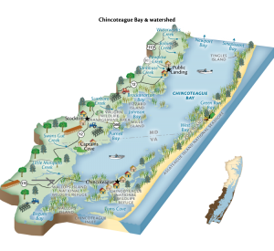 Chincoteague Bay Diagram