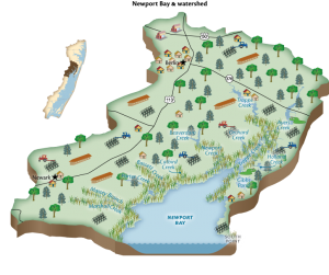 Newport Bay Diagram