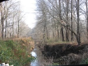 Showell 1