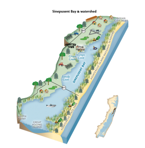 Sinepuxent Bay Diagram