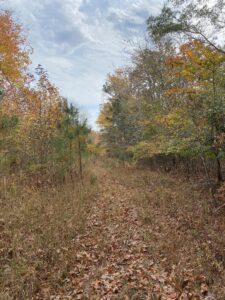 West Parcel 1 Fall 2024