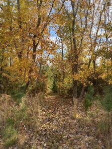 West Parcel 2 Fall 2024