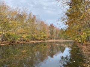 West Parcel 3 Fall 2024