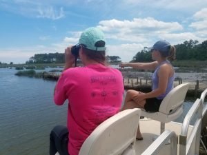 Annual Terrapin Surveys