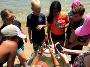 Assateague Living Shoreline Program 1