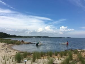 Assateague Living Shoreline Program 2