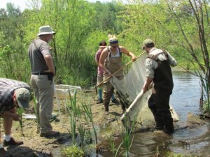 Discover Your Watershed 1
