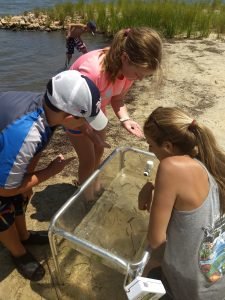 Estuary Explorers 2