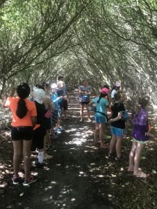 Estuary Explorers 4
