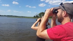 Annual Terrapin Surveys