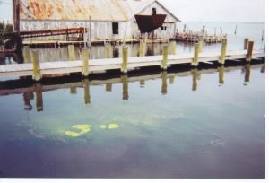 Georgeisland
