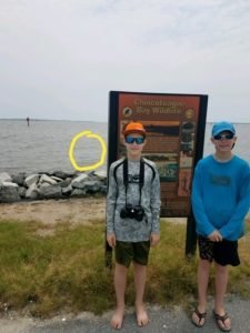 Annual Terrapin Surveys
