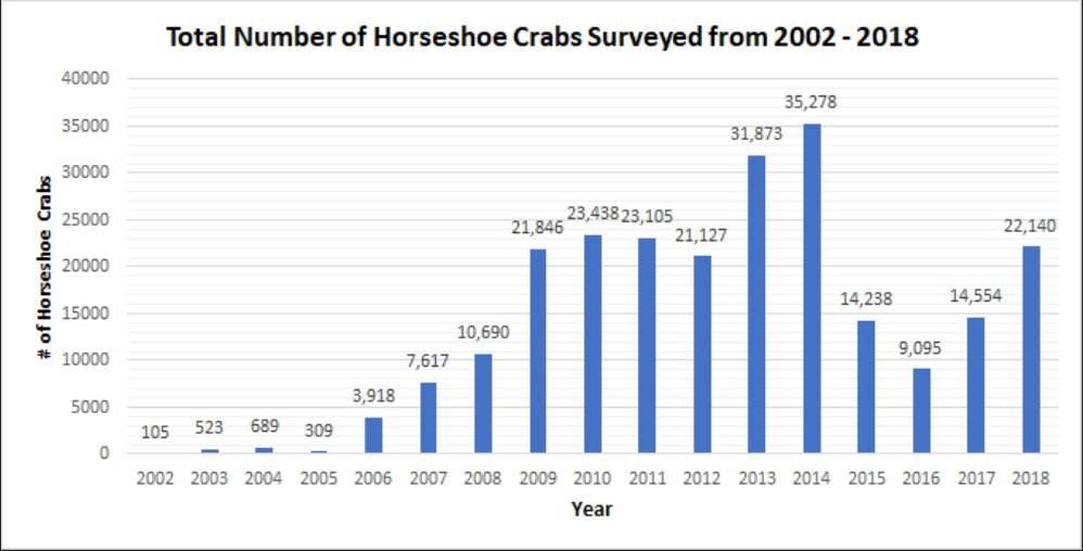 Total Horseshoe Crabs Numbers