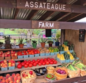 Assateague Farm Stand Edited