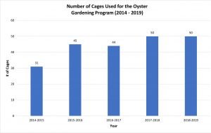 Number Of Cages Used For The Oyster Gardenign Program 2014 2019