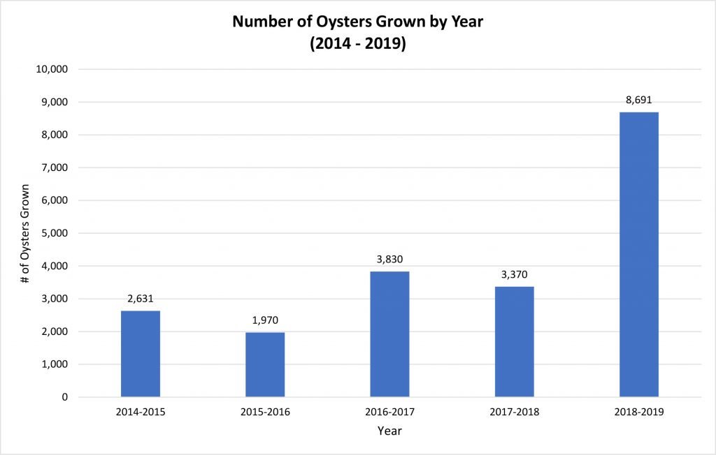 Number Of Oysters Grown By Year 2014 2019