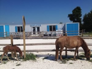 Assateague Outfitters