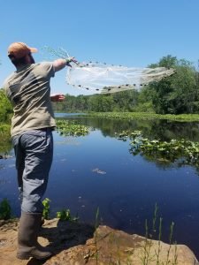 man throwing net into bay mid air to catch fish and sea life