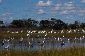 Assateague Outfitters