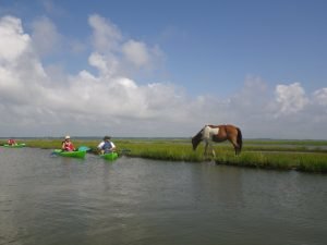 Assateague Outfitters