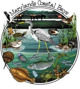 Maryland Coastal Bays - Discovery Logo