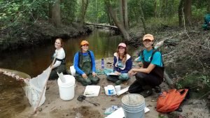 Electrofishing Bunting Branch 2018