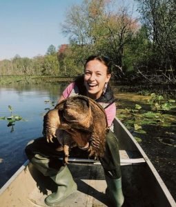 Vanessa Snapping Turtle