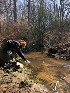 Edna Sampling Kat