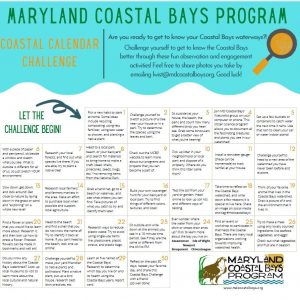 January Challenge Calendar