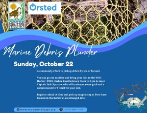 Marine Debris Plunder 2023 (1)