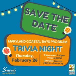 Save The Date Trivia 2026