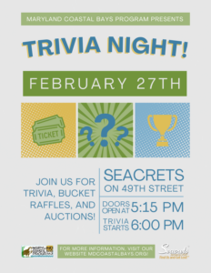 Trivia Night Flyer