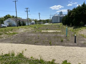 Graham Ave Wetland 5 11 2021