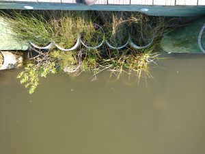 Green Bulkheads