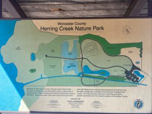 Herring Creek 2