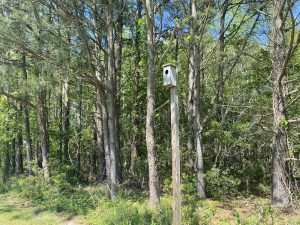 Herring Creek Bird Box 5 11