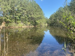 Herring Creek Nature Park 5 11