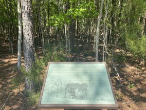 Herring Creek Nature Park 5 11 21