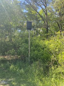 Herring Creek Bat Box 5 11