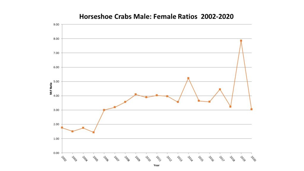 Male Female Ratio