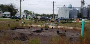 Planting Day