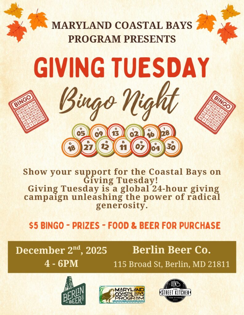 Giving Tuesday Bingo Night!