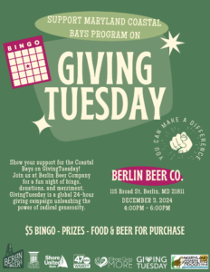 Giving Tuesday 2024 Flyer