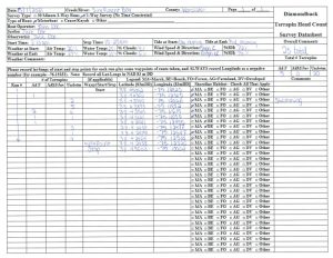 2021 Water Based Datasheet Example
