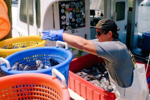 Dscf4099