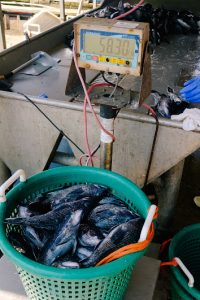 Dscf4127 2