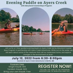 Evening Paddle On Ayers Creek Flyer