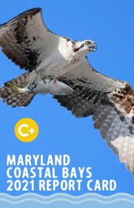 Maryland Coastal Bays 2021 Report Card Cover with large bird flying in blue sky